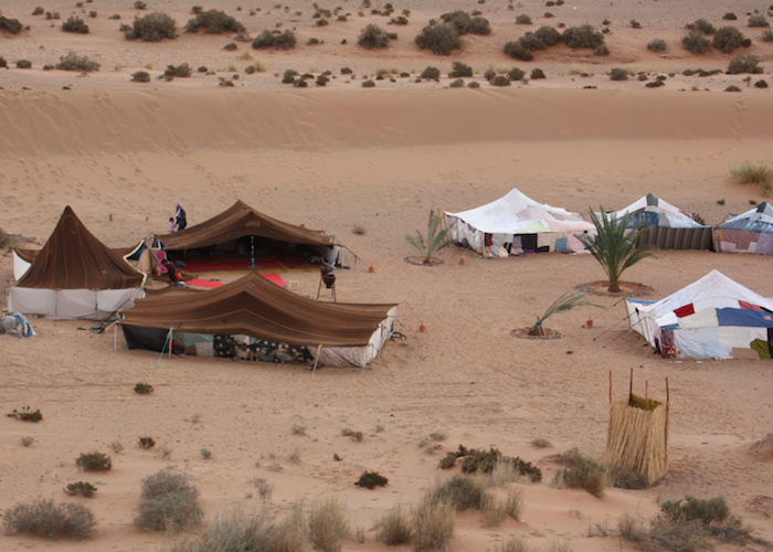 3day Bivouac and Sahara Ouarzazat excursion, 3day Bivouac and Sahara Ouarzazat Activities, 3day Bivouac and Sahara Ouarzazat Sightseeings, 3day Bivouac and Sahara Ouarzazat Attractions, 3day Bivouac and Sahara Ouarzazat Day Tour, 3day Bivouac and Sahara Ouarzazat Enjoy, 3day Bivouac and Sahara Ouarzazat Discouvery, 3day Bivouac and Sahara Ouarzazat Holiday, 3day Bivouac and Sahara Ouarzazat Best Trip, 3day Bivouac and Sahara Ouarzazat Best Travel, 3day Bivouac and Sahara Ouarzazat TripAdvisor, 3day Bivouac and Sahara Ouarzazat Travel, 3day Bivouac and Sahara Ouarzazat Airport, 3day Bivouac and Sahara Ouarzazat Taxi Airoport, 3day Bivouac and Sahara Ouarzazat Get Your Guide, 3day Bivouac and Sahara Ouarzazat by Night, 3day Bivouac and Sahara Ouarzazat By Day, 3day Bivouac and Sahara Ouarzazat Free Guide, 3day Bivouac and Sahara Ouarzazat Day Trip, 3day Bivouac and Sahara Ouarzazat Free Excursion, 3day Bivouac and Sahara Ouarzazat Free Activity, 3day Bivouac and Sahara Ouarzazat Free Tours, 1 Day trip 3day Bivouac and Sahara Ouarzazat, 1 Day Excursion 3day Bivouac and Sahara Ouarzazat, 1 Day Activity 3day Bivouac and Sahara Ouarzazat, Excursions and Tours in 3day Bivouac and Sahara Ouarzazat, Excursion from  3day Bivouac and Sahara Ouarzazat, Excursion in 3day Bivouac and Sahara Ouarzazat,Day Trip From 3day Bivouac and Sahara Ouarzazat, Travel to 3day Bivouac and Sahara Ouarzazat, Holiday in 3day Bivouac and Sahara Ouarzazat, Best Holiday in 3day Bivouac and Sahara Ouarzazat, Private Tour to 3day Bivouac and Sahara Ouarzazat, Private Excursion to 3day Bivouac and Sahara Ouarzazat, Private Activity to 3day Bivouac and Sahara Ouarzazat, Things to do in 3day Bivouac and Sahara Ouarzazat, Cheaper Excursion to 3day Bivouac and Sahara Ouarzazat, Popular Excursion in 3day Bivouac and Sahara Ouarzazat, Popular Activity in 3day Bivouac and Sahara Ouarzazat, Things to see in 3day Bivouac and Sahara Ouarzazat, Tour in 3day Bivouac and Sahara Ouarzazat, Travel agency in 3day Bivouac and Sahara Ouarzazat, Legal Travel Agaency in 3day Bivouac and Sahara Ouarzazat, Transport 3day Bivouac and Sahara Ouarzazat, Tours From 3day Bivouac and Sahara Ouarzazat, Visit 3day Bivouac and Sahara Ouarzazat City Tour