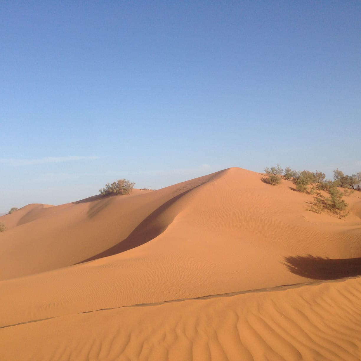 Mini Desert (Mini Sahara) Massa Agadir excursion, Mini Desert (Mini Sahara) Massa Agadir Activities, Mini Desert (Mini Sahara) Massa Agadir Sightseeings, Mini Desert (Mini Sahara) Massa Agadir Attractions, Mini Desert (Mini Sahara) Massa Agadir Day Tour, Mini Desert (Mini Sahara) Massa Agadir Enjoy, Mini Desert (Mini Sahara) Massa Agadir Discouvery, Mini Desert (Mini Sahara) Massa Agadir Holiday, Mini Desert (Mini Sahara) Massa Agadir Best Trip, Mini Desert (Mini Sahara) Massa Agadir Best Travel, Mini Desert (Mini Sahara) Massa Agadir TripAdvisor, Mini Desert (Mini Sahara) Massa Agadir Travel, Mini Desert (Mini Sahara) Massa Agadir Airport, Mini Desert (Mini Sahara) Massa Agadir Taxi Airoport, Mini Desert (Mini Sahara) Massa Agadir Get Your Guide, Mini Desert (Mini Sahara) Massa Agadir by Night, Mini Desert (Mini Sahara) Massa Agadir By Day, Mini Desert (Mini Sahara) Massa Agadir Free Guide, Mini Desert (Mini Sahara) Massa Agadir Day Trip, Mini Desert (Mini Sahara) Massa Agadir Free Excursion, Mini Desert (Mini Sahara) Massa Agadir Free Activity, Mini Desert (Mini Sahara) Massa Agadir Free Tours, 1 Day trip Mini Desert (Mini Sahara) Massa Agadir, 1 Day Excursion Mini Desert (Mini Sahara) Massa Agadir, 1 Day Activity Mini Desert (Mini Sahara) Massa Agadir, Excursions and Tours in Mini Desert (Mini Sahara) Massa Agadir, Excursion from  Mini Desert (Mini Sahara) Massa Agadir, Excursion in Mini Desert (Mini Sahara) Massa Agadir,Day Trip From Mini Desert (Mini Sahara) Massa Agadir, Travel to Mini Desert (Mini Sahara) Massa Agadir, Holiday in Mini Desert (Mini Sahara) Massa Agadir, Best Holiday in Mini Desert (Mini Sahara) Massa Agadir, Private Tour to Mini Desert (Mini Sahara) Massa Agadir, Private Excursion to Mini Desert (Mini Sahara) Massa Agadir, Private Activity to Mini Desert (Mini Sahara) Massa Agadir, Things to do in Mini Desert (Mini Sahara) Massa Agadir, Cheaper Excursion to Mini Desert (Mini Sahara) Massa Agadir, Popular Excursion in Mini Desert (Mini Sahara) Massa Agadir, Popular Activity in Mini Desert (Mini Sahara) Massa Agadir, Things to see in Mini Desert (Mini Sahara) Massa Agadir, Tour in Mini Desert (Mini Sahara) Massa Agadir, Travel agency in Mini Desert (Mini Sahara) Massa Agadir, Legal Travel Agaency in Mini Desert (Mini Sahara) Massa Agadir, Transport Mini Desert (Mini Sahara) Massa Agadir, Tours From Mini Desert (Mini Sahara) Massa Agadir, Visit Mini Desert (Mini Sahara) Massa Agadir City Tour