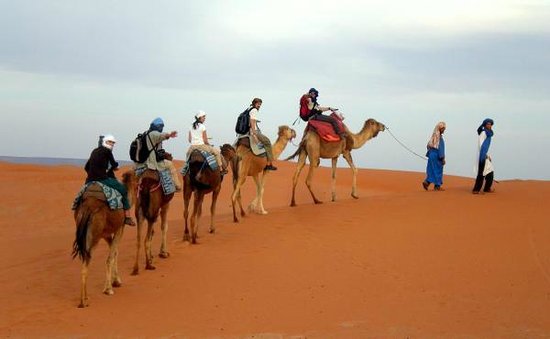 3day Bivouac and Sahara Ouarzazat excursion, 3day Bivouac and Sahara Ouarzazat Activities, 3day Bivouac and Sahara Ouarzazat Sightseeings, 3day Bivouac and Sahara Ouarzazat Attractions, 3day Bivouac and Sahara Ouarzazat Day Tour, 3day Bivouac and Sahara Ouarzazat Enjoy, 3day Bivouac and Sahara Ouarzazat Discouvery, 3day Bivouac and Sahara Ouarzazat Holiday, 3day Bivouac and Sahara Ouarzazat Best Trip, 3day Bivouac and Sahara Ouarzazat Best Travel, 3day Bivouac and Sahara Ouarzazat TripAdvisor, 3day Bivouac and Sahara Ouarzazat Travel, 3day Bivouac and Sahara Ouarzazat Airport, 3day Bivouac and Sahara Ouarzazat Taxi Airoport, 3day Bivouac and Sahara Ouarzazat Get Your Guide, 3day Bivouac and Sahara Ouarzazat by Night, 3day Bivouac and Sahara Ouarzazat By Day, 3day Bivouac and Sahara Ouarzazat Free Guide, 3day Bivouac and Sahara Ouarzazat Day Trip, 3day Bivouac and Sahara Ouarzazat Free Excursion, 3day Bivouac and Sahara Ouarzazat Free Activity, 3day Bivouac and Sahara Ouarzazat Free Tours, 1 Day trip 3day Bivouac and Sahara Ouarzazat, 1 Day Excursion 3day Bivouac and Sahara Ouarzazat, 1 Day Activity 3day Bivouac and Sahara Ouarzazat, Excursions and Tours in 3day Bivouac and Sahara Ouarzazat, Excursion from  3day Bivouac and Sahara Ouarzazat, Excursion in 3day Bivouac and Sahara Ouarzazat,Day Trip From 3day Bivouac and Sahara Ouarzazat, Travel to 3day Bivouac and Sahara Ouarzazat, Holiday in 3day Bivouac and Sahara Ouarzazat, Best Holiday in 3day Bivouac and Sahara Ouarzazat, Private Tour to 3day Bivouac and Sahara Ouarzazat, Private Excursion to 3day Bivouac and Sahara Ouarzazat, Private Activity to 3day Bivouac and Sahara Ouarzazat, Things to do in 3day Bivouac and Sahara Ouarzazat, Cheaper Excursion to 3day Bivouac and Sahara Ouarzazat, Popular Excursion in 3day Bivouac and Sahara Ouarzazat, Popular Activity in 3day Bivouac and Sahara Ouarzazat, Things to see in 3day Bivouac and Sahara Ouarzazat, Tour in 3day Bivouac and Sahara Ouarzazat, Travel agency in 3day Bivouac and Sahara Ouarzazat, Legal Travel Agaency in 3day Bivouac and Sahara Ouarzazat, Transport 3day Bivouac and Sahara Ouarzazat, Tours From 3day Bivouac and Sahara Ouarzazat, Visit 3day Bivouac and Sahara Ouarzazat City Tour