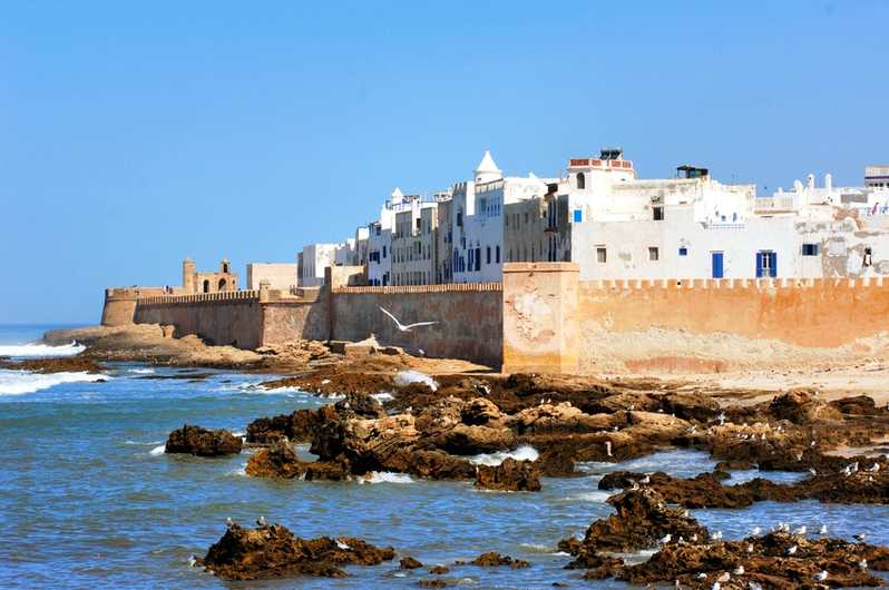 Essaouira Mogador excursion, Essaouira Mogador Activities, Essaouira Mogador Sightseeings, Essaouira Mogador Attractions, Essaouira Mogador Day Tour, Essaouira Mogador Enjoy, Essaouira Mogador Discouvery, Essaouira Mogador Holiday, Essaouira Mogador Best Trip, Essaouira Mogador Best Travel, Essaouira Mogador TripAdvisor, Essaouira Mogador Travel, Essaouira Mogador Airport, Essaouira Mogador Taxi Airoport, Essaouira Mogador Get Your Guide, Essaouira Mogador by Night, Essaouira Mogador By Day, Essaouira Mogador Free Guide, Essaouira Mogador Day Trip, Essaouira Mogador Free Excursion, Essaouira Mogador Free Activity, Essaouira Mogador Free Tours, 1 Day trip Essaouira Mogador, 1 Day Excursion Essaouira Mogador, 1 Day Activity Essaouira Mogador, Excursions and Tours in Essaouira Mogador, Excursion from  Essaouira Mogador, Excursion in Essaouira Mogador,Day Trip From Essaouira Mogador, Travel to Essaouira Mogador, Holiday in Essaouira Mogador, Best Holiday in Essaouira Mogador, Private Tour to Essaouira Mogador, Private Excursion to Essaouira Mogador, Private Activity to Essaouira Mogador, Things to do in Essaouira Mogador, Cheaper Excursion to Essaouira Mogador, Popular Excursion in Essaouira Mogador, Popular Activity in Essaouira Mogador, Things to see in Essaouira Mogador, Tour in Essaouira Mogador, Travel agency in Essaouira Mogador, Legal Travel Agaency in Essaouira Mogador, Transport Essaouira Mogador, Tours From Essaouira Mogador, Visit Essaouira Mogador City Tour