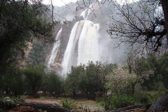 Imouzer Agadir excursion, Imouzer Agadir Activities, Imouzer Agadir Sightseeings, Imouzer Agadir Attractions, Imouzer Agadir Day Tour, Imouzer Agadir Enjoy, Imouzer Agadir Discouvery, Imouzer Agadir Holiday, Imouzer Agadir Best Trip, Imouzer Agadir Best Travel, Imouzer Agadir TripAdvisor, Imouzer Agadir Travel, Imouzer Agadir Airport, Imouzer Agadir Taxi Airoport, Imouzer Agadir Get Your Guide, Imouzer Agadir by Night, Imouzer Agadir By Day, Imouzer Agadir Free Guide, Imouzer Agadir Day Trip, Imouzer Agadir Free Excursion, Imouzer Agadir Free Activity, Imouzer Agadir Free Tours, 1 Day trip Imouzer Agadir, 1 Day Excursion Imouzer Agadir, 1 Day Activity Imouzer Agadir, Excursions and Tours in Imouzer Agadir, Excursion from  Imouzer Agadir, Excursion in Imouzer Agadir,Day Trip From Imouzer Agadir, Travel to Imouzer Agadir, Holiday in Imouzer Agadir, Best Holiday in Imouzer Agadir, Private Tour to Imouzer Agadir, Private Excursion to Imouzer Agadir, Private Activity to Imouzer Agadir, Things to do in Imouzer Agadir, Cheaper Excursion to Imouzer Agadir, Popular Excursion in Imouzer Agadir, Popular Activity in Imouzer Agadir, Things to see in Imouzer Agadir, Tour in Imouzer Agadir, Travel agency in Imouzer Agadir, Legal Travel Agaency in Imouzer Agadir, Transport Imouzer Agadir, Tours From Imouzer Agadir, Visit Imouzer Agadir City Tour