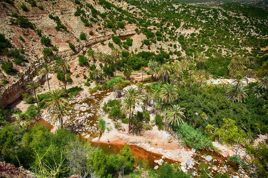 Paradise Valley Agadir excursion, Paradise Valley Agadir Activities, Paradise Valley Agadir Sightseeings, Paradise Valley Agadir Attractions, Paradise Valley Agadir Day Tour, Paradise Valley Agadir Enjoy, Paradise Valley Agadir Discouvery, Paradise Valley Agadir Holiday, Paradise Valley Agadir Best Trip, Paradise Valley Agadir Best Travel, Paradise Valley Agadir TripAdvisor, Paradise Valley Agadir Travel, Paradise Valley Agadir Airport, Paradise Valley Agadir Taxi Airoport, Paradise Valley Agadir Get Your Guide, Paradise Valley Agadir by Night, Paradise Valley Agadir By Day, Paradise Valley Agadir Free Guide, Paradise Valley Agadir Day Trip, Paradise Valley Agadir Free Excursion, Paradise Valley Agadir Free Activity, Paradise Valley Agadir Free Tours, 1 Day trip Paradise Valley Agadir, 1 Day Excursion Paradise Valley Agadir, 1 Day Activity Paradise Valley Agadir, Excursions and Tours in Paradise Valley Agadir, Excursion from  Paradise Valley Agadir, Excursion in Paradise Valley Agadir,Day Trip From Paradise Valley Agadir, Travel to Paradise Valley Agadir, Holiday in Paradise Valley Agadir, Best Holiday in Paradise Valley Agadir, Private Tour to Paradise Valley Agadir, Private Excursion to Paradise Valley Agadir, Private Activity to Paradise Valley Agadir, Things to do in Paradise Valley Agadir, Cheaper Excursion to Paradise Valley Agadir, Popular Excursion in Paradise Valley Agadir, Popular Activity in Paradise Valley Agadir, Things to see in Paradise Valley Agadir, Tour in Paradise Valley Agadir, Travel agency in Paradise Valley Agadir, Legal Travel Agaency in Paradise Valley Agadir, Transport Paradise Valley Agadir, Tours From Paradise Valley Agadir, Visit Paradise Valley Agadir City Tour