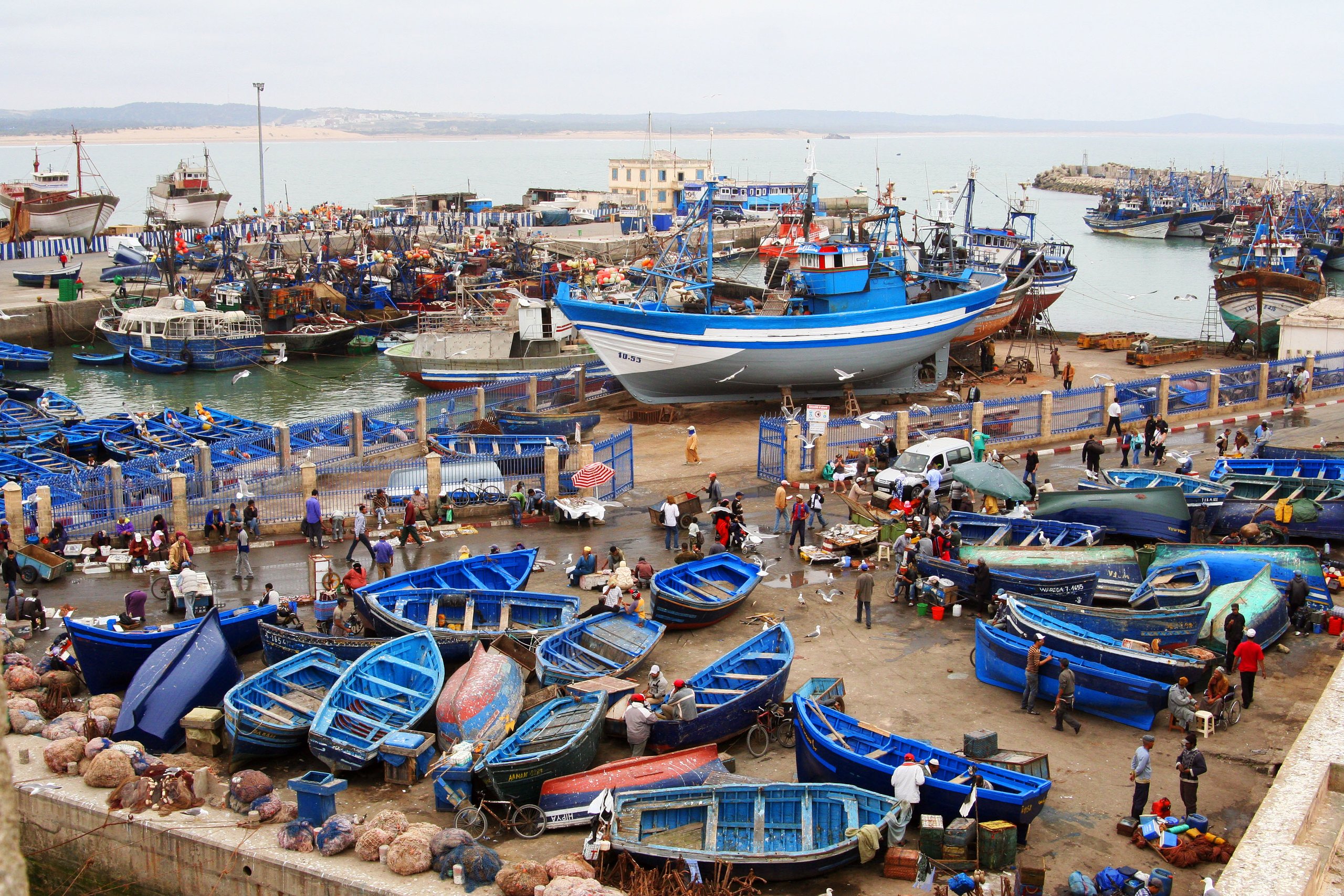 Essaouira Mogador excursion, Essaouira Mogador Activities, Essaouira Mogador Sightseeings, Essaouira Mogador Attractions, Essaouira Mogador Day Tour, Essaouira Mogador Enjoy, Essaouira Mogador Discouvery, Essaouira Mogador Holiday, Essaouira Mogador Best Trip, Essaouira Mogador Best Travel, Essaouira Mogador TripAdvisor, Essaouira Mogador Travel, Essaouira Mogador Airport, Essaouira Mogador Taxi Airoport, Essaouira Mogador Get Your Guide, Essaouira Mogador by Night, Essaouira Mogador By Day, Essaouira Mogador Free Guide, Essaouira Mogador Day Trip, Essaouira Mogador Free Excursion, Essaouira Mogador Free Activity, Essaouira Mogador Free Tours, 1 Day trip Essaouira Mogador, 1 Day Excursion Essaouira Mogador, 1 Day Activity Essaouira Mogador, Excursions and Tours in Essaouira Mogador, Excursion from  Essaouira Mogador, Excursion in Essaouira Mogador,Day Trip From Essaouira Mogador, Travel to Essaouira Mogador, Holiday in Essaouira Mogador, Best Holiday in Essaouira Mogador, Private Tour to Essaouira Mogador, Private Excursion to Essaouira Mogador, Private Activity to Essaouira Mogador, Things to do in Essaouira Mogador, Cheaper Excursion to Essaouira Mogador, Popular Excursion in Essaouira Mogador, Popular Activity in Essaouira Mogador, Things to see in Essaouira Mogador, Tour in Essaouira Mogador, Travel agency in Essaouira Mogador, Legal Travel Agaency in Essaouira Mogador, Transport Essaouira Mogador, Tours From Essaouira Mogador, Visit Essaouira Mogador City Tour