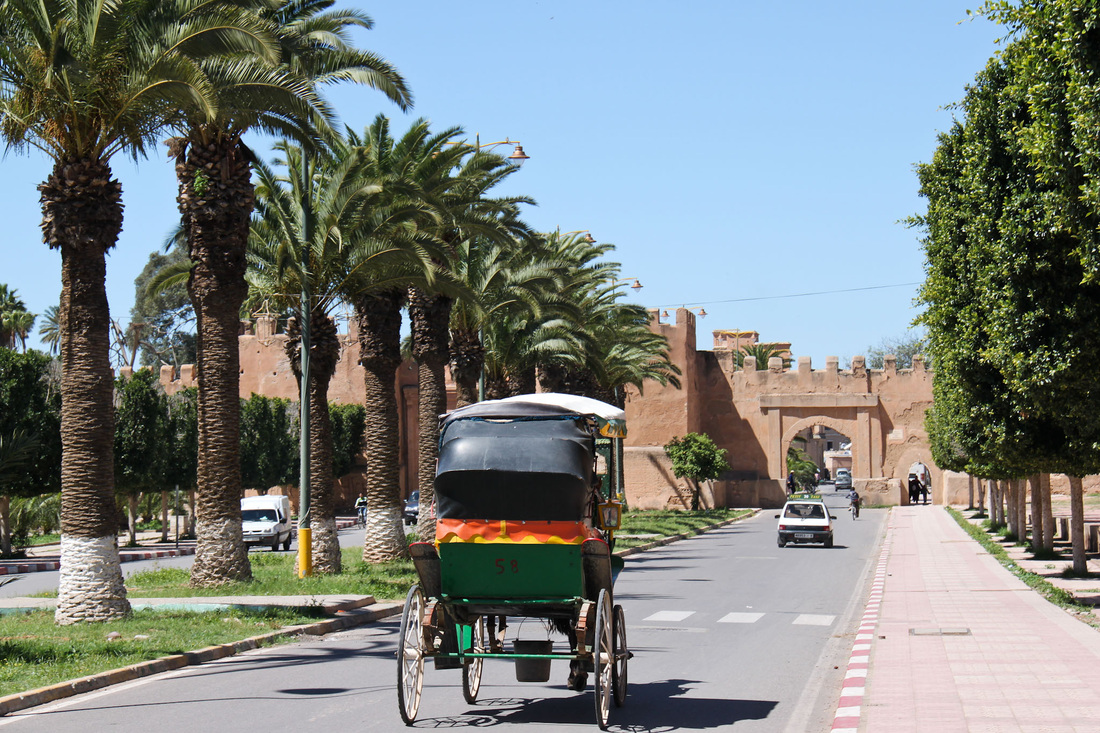 Taroudant Tiout excursion, Taroudant Tiout Activities, Taroudant Tiout Sightseeings, Taroudant Tiout Attractions, Taroudant Tiout Day Tour, Taroudant Tiout Enjoy, Taroudant Tiout Discouvery, Taroudant Tiout Holiday, Taroudant Tiout Best Trip, Taroudant Tiout Best Travel, Taroudant Tiout TripAdvisor, Taroudant Tiout Travel, Taroudant Tiout Airport, Taroudant Tiout Taxi Airoport, Taroudant Tiout Get Your Guide, Taroudant Tiout by Night, Taroudant Tiout By Day, Taroudant Tiout Free Guide, Taroudant Tiout Day Trip, Taroudant Tiout Free Excursion, Taroudant Tiout Free Activity, Taroudant Tiout Free Tours, 1 Day trip Taroudant Tiout, 1 Day Excursion Taroudant Tiout, 1 Day Activity Taroudant Tiout, Excursions and Tours in Taroudant Tiout, Excursion from  Taroudant Tiout, Excursion in Taroudant Tiout,Day Trip From Taroudant Tiout, Travel to Taroudant Tiout, Holiday in Taroudant Tiout, Best Holiday in Taroudant Tiout, Private Tour to Taroudant Tiout, Private Excursion to Taroudant Tiout, Private Activity to Taroudant Tiout, Things to do in Taroudant Tiout, Cheaper Excursion to Taroudant Tiout, Popular Excursion in Taroudant Tiout, Popular Activity in Taroudant Tiout, Things to see in Taroudant Tiout, Tour in Taroudant Tiout, Travel agency in Taroudant Tiout, Legal Travel Agaency in Taroudant Tiout, Transport Taroudant Tiout, Tours From Taroudant Tiout, Visit Taroudant Tiout City Tour